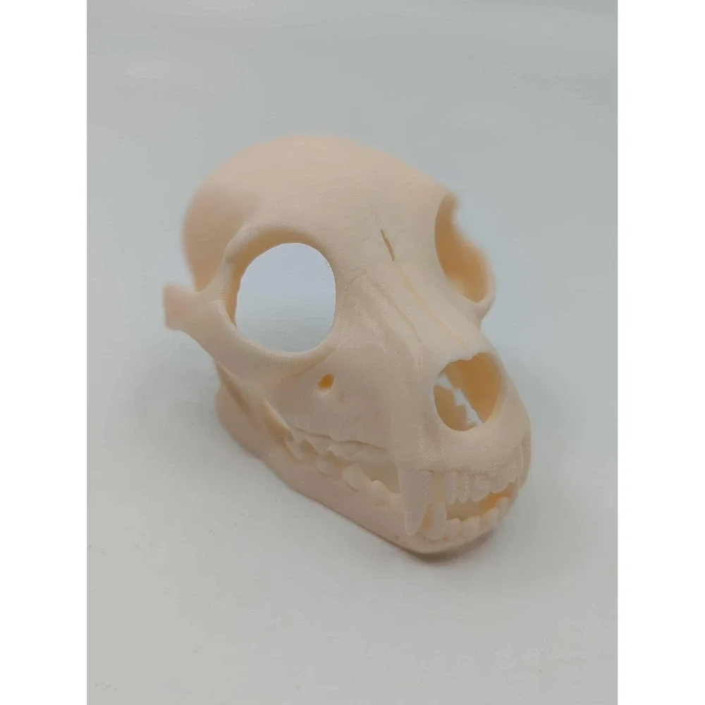Dog Skull Hide, Reptile enrichment,‎ Tank Decor